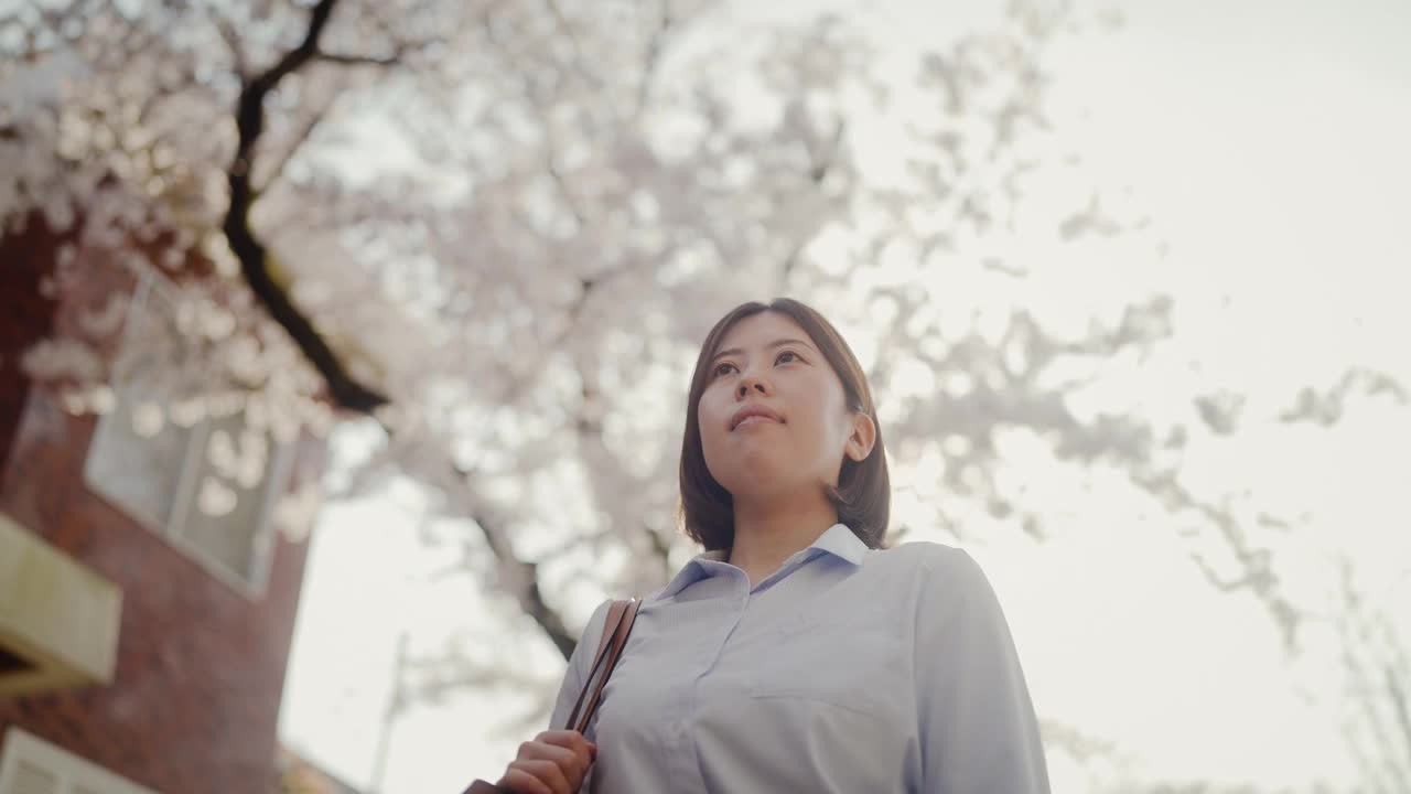 年轻的女商人上下班在城市樱花树下视频素材
