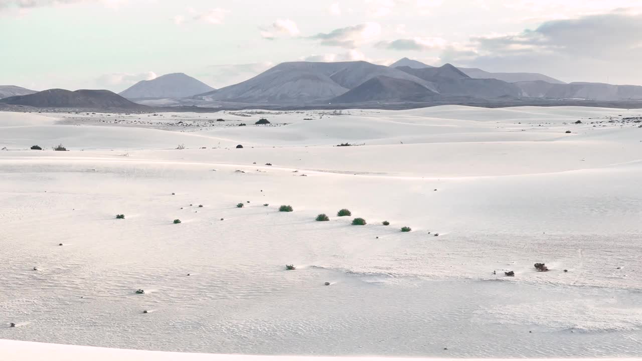在富埃特文图拉岛，日落时的白色沙丘全景。西班牙。科拉雷霍的杜纳斯全景图在Covid的限制性逃脱法中。视频素材