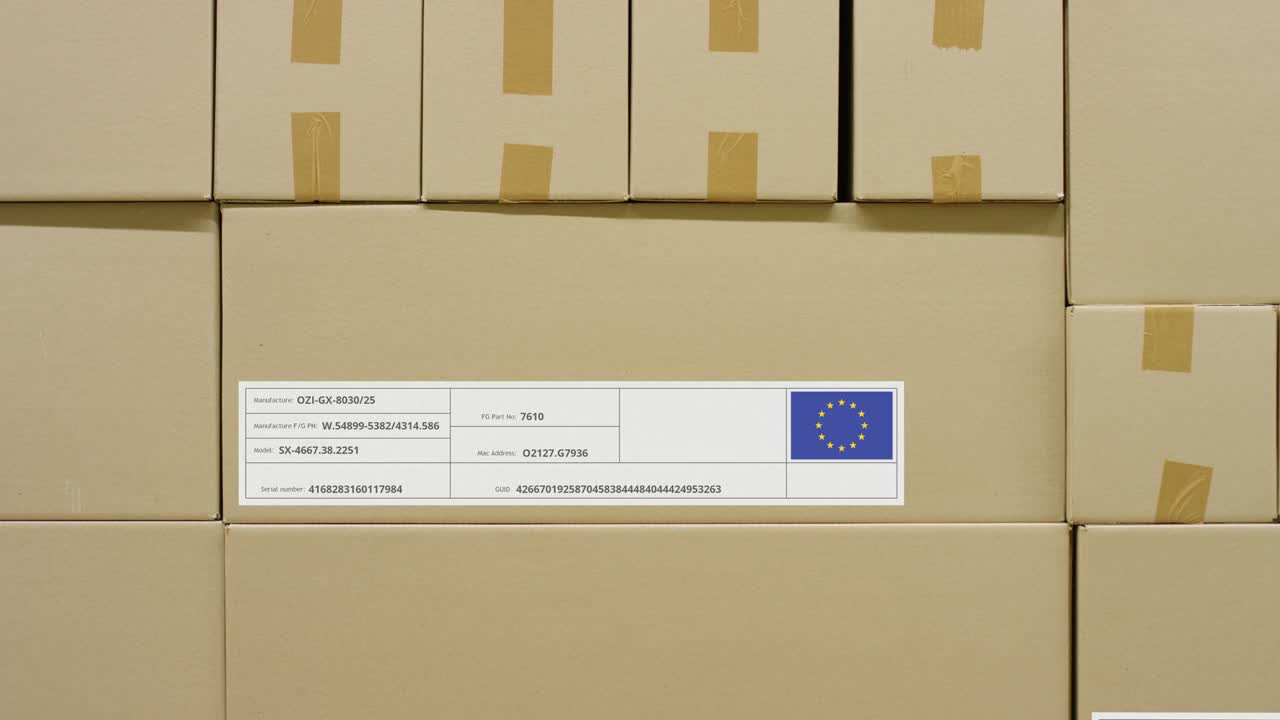 印有欧盟字样和旗帜的纸箱。仓库物流概念视频下载