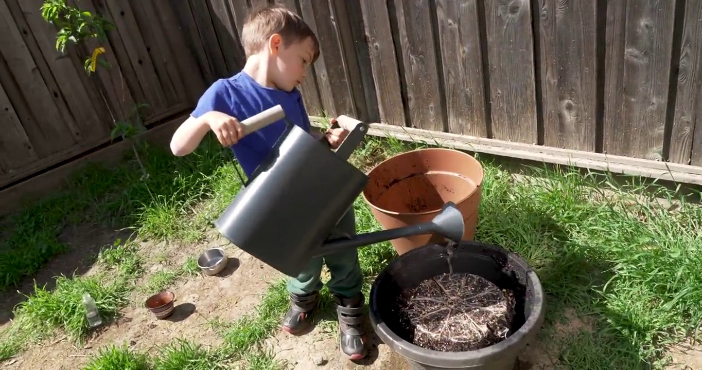 小男孩在自家后院做园艺视频素材