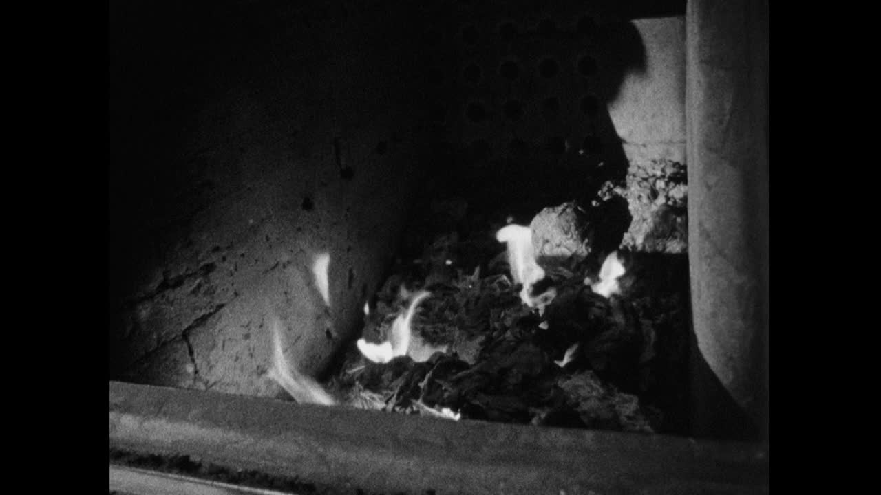 机密废物在焚化炉内焚烧;1964视频素材