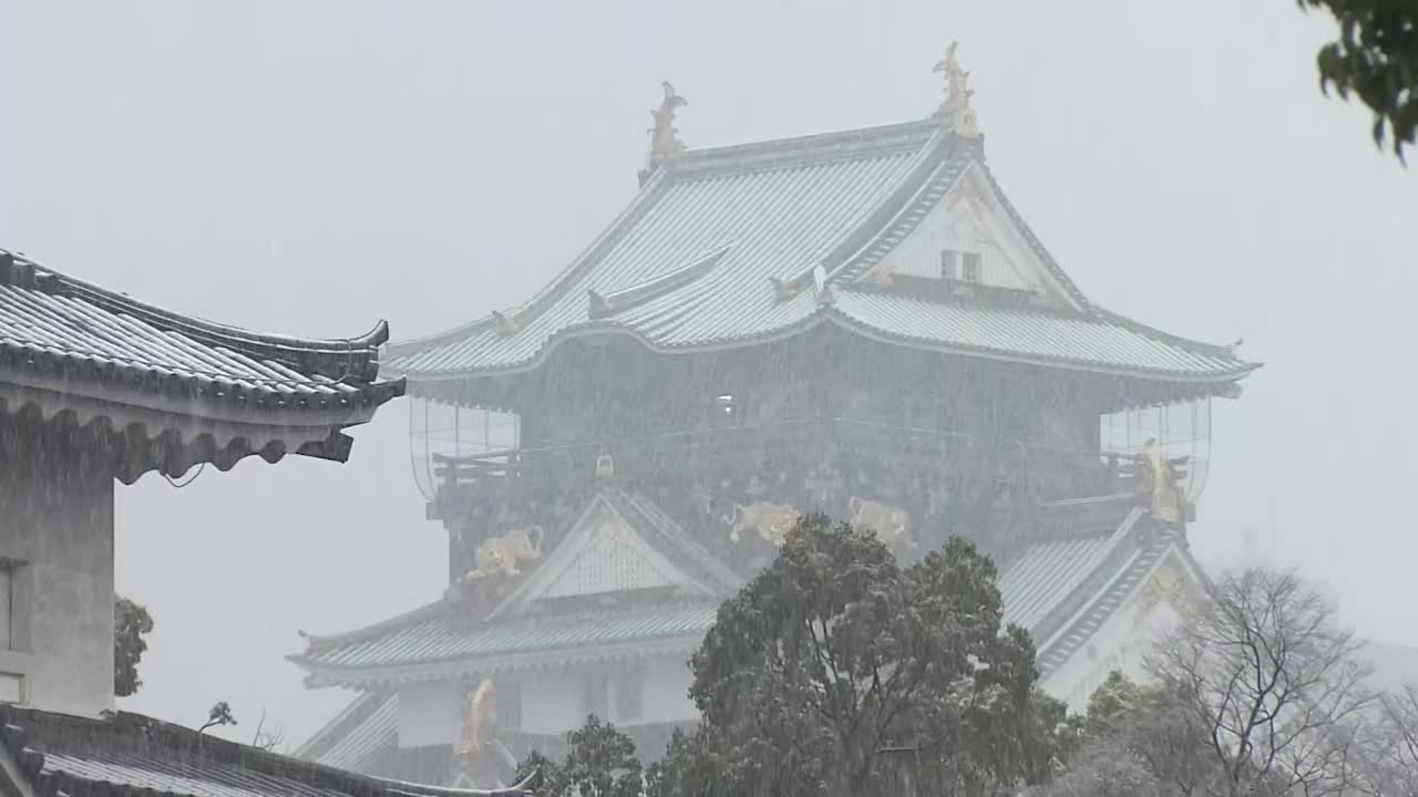 雪落在大阪城堡，大阪，日本视频下载