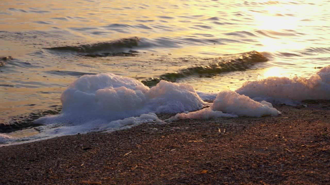 浪花中的白色泡沫和绿藻。近距离拍摄的浅水溅向沙滩视频下载