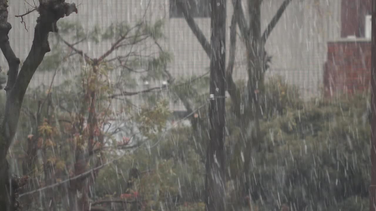 日本埼玉县市区降雪视频下载