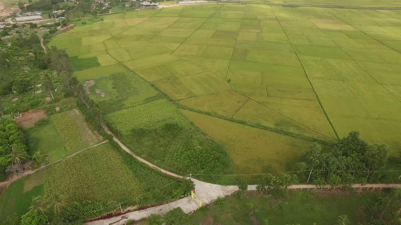 越南富颜省的稻田视频下载