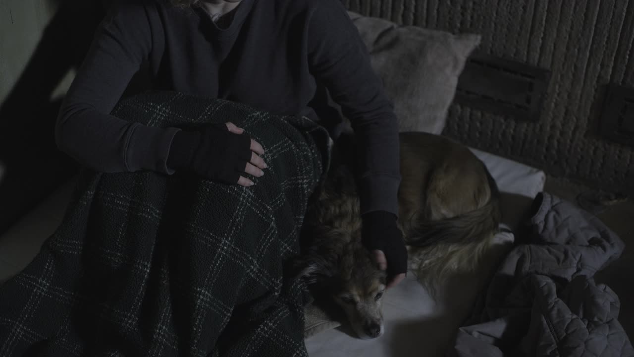 高角度的可怜的女人坐在地板上的床垫上抚摸狗/雪松山，犹他州，美国视频素材