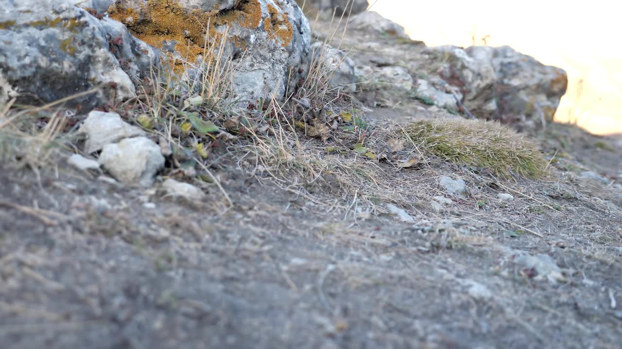 穿着灰色运动鞋的徒步旅行者爬上有大岩石的山视频素材