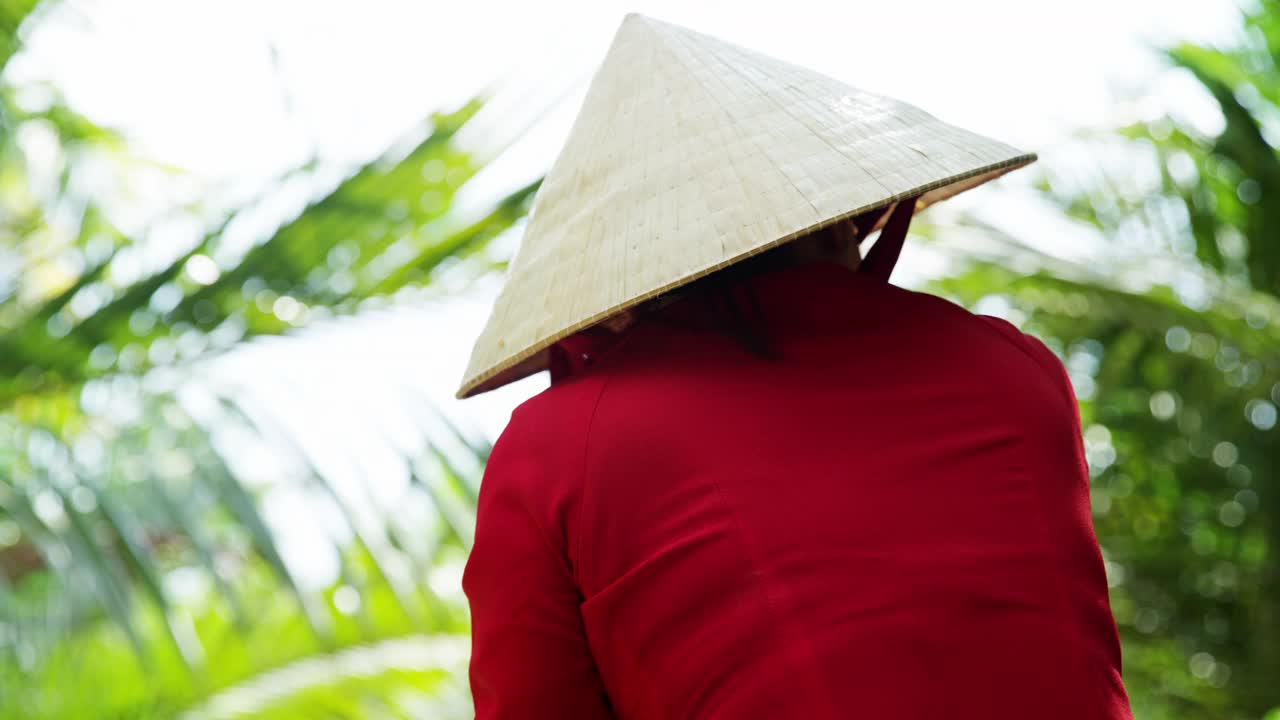 亚洲女性划船舢板船湄公河越南视频素材