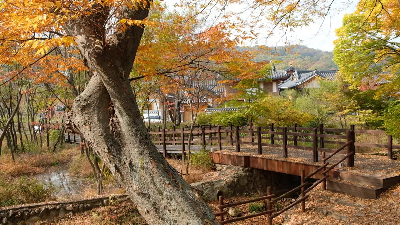 韩国首尔恩平韩屋村的秋天视频素材