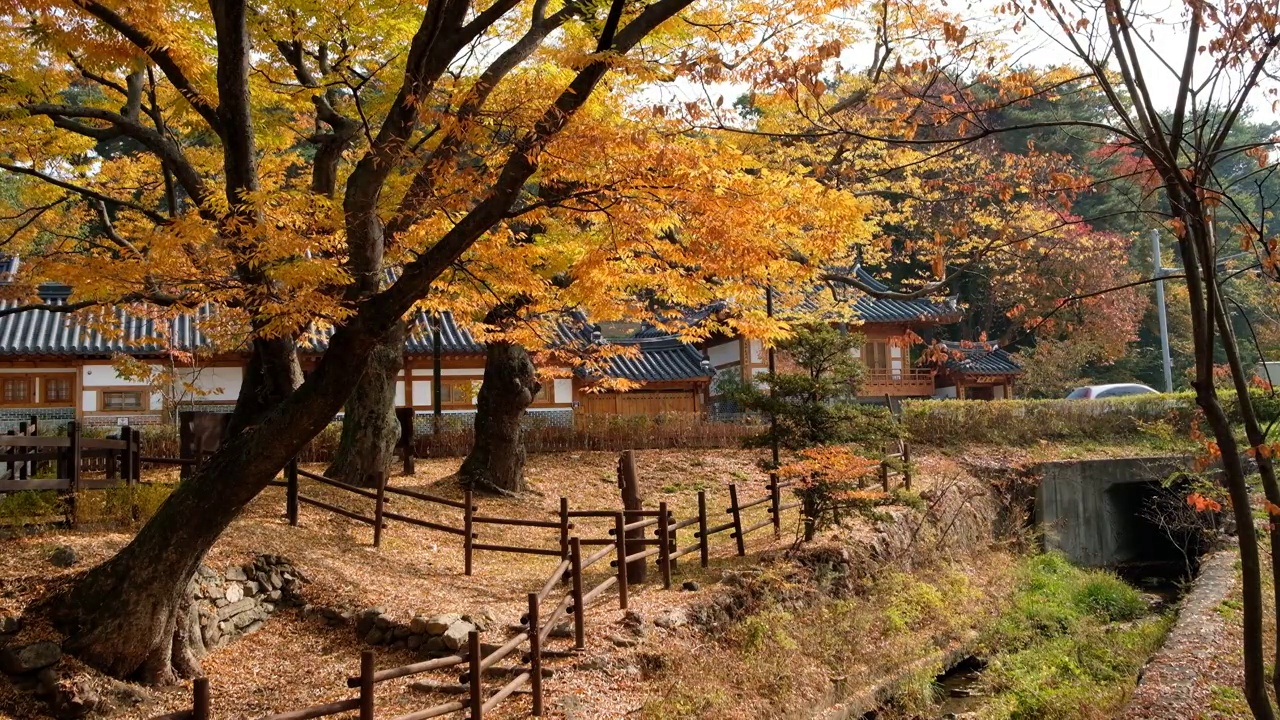 韩国首尔恩平韩屋村的秋天视频素材