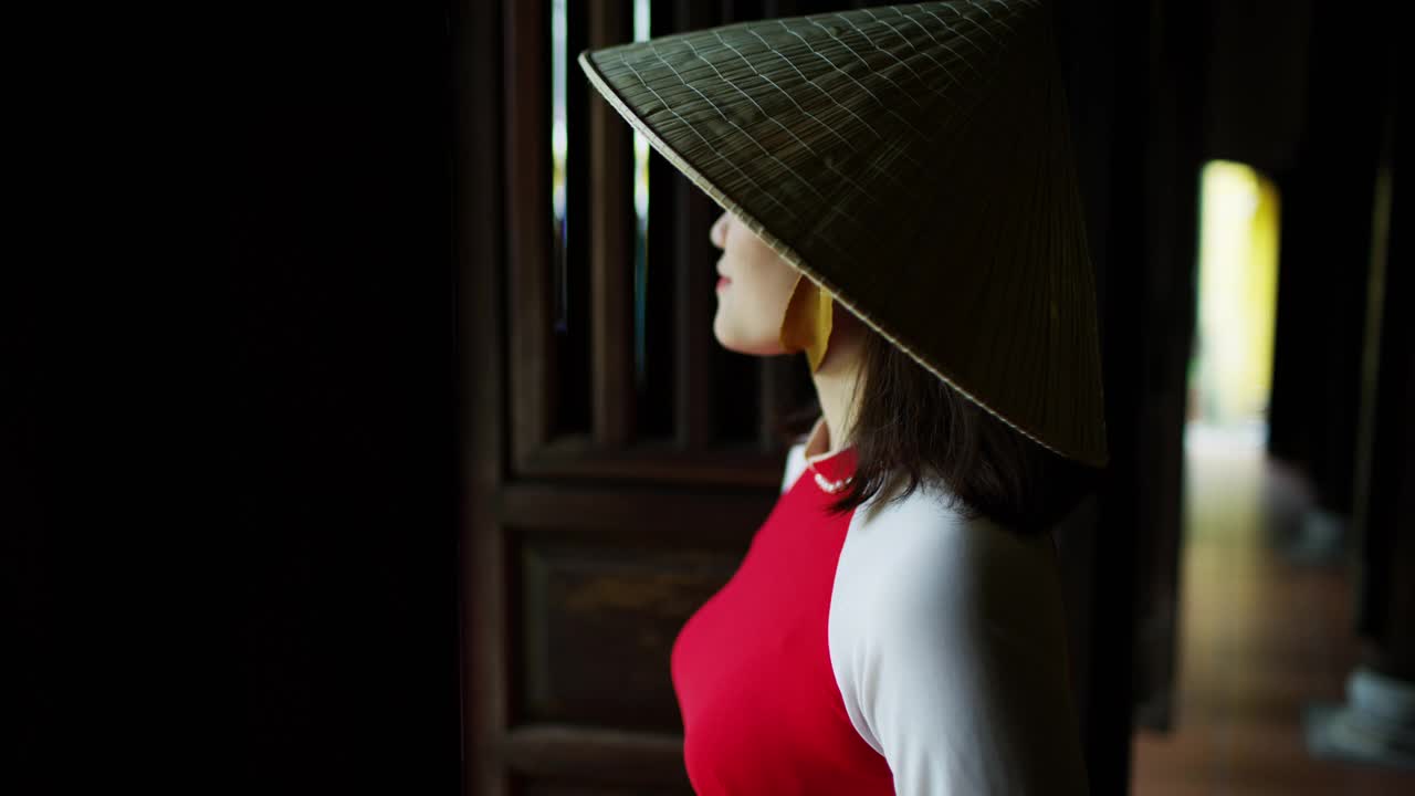 成功的越南女性在木屋村住越南视频素材
