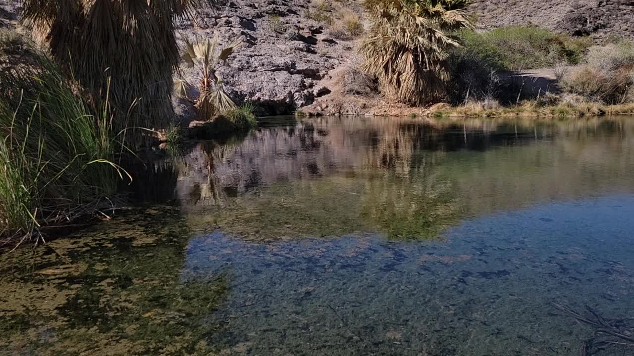 旅游目的地:米德湖国家休闲区内的罗杰斯泉视频下载
