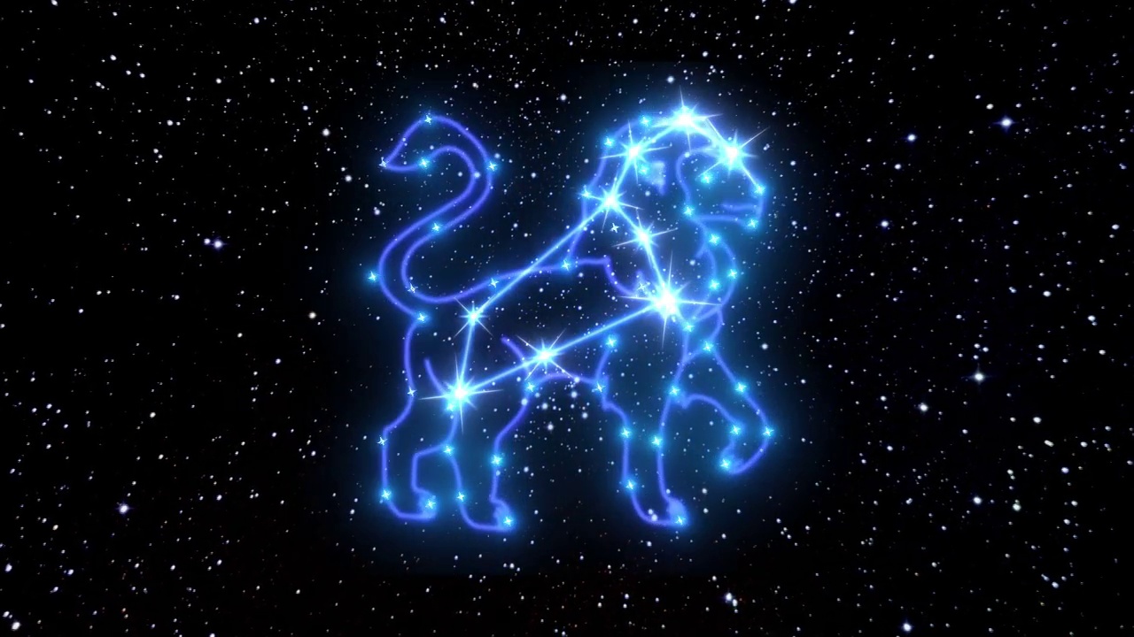 狮子座是一个由明亮的星星组成的星座，它们被发光的线条连接在一起。宇宙夜空中黄道十二宫星座的动画。星座和占星术的象征视频下载