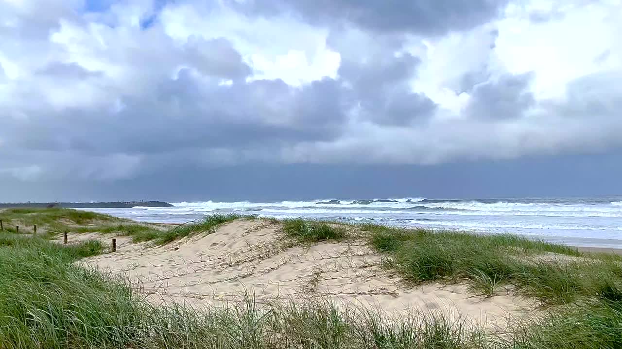 有风的阴天沙滩沙丘视频下载