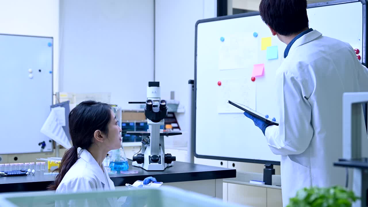 年轻科学家们在实验室里用白板开会视频下载