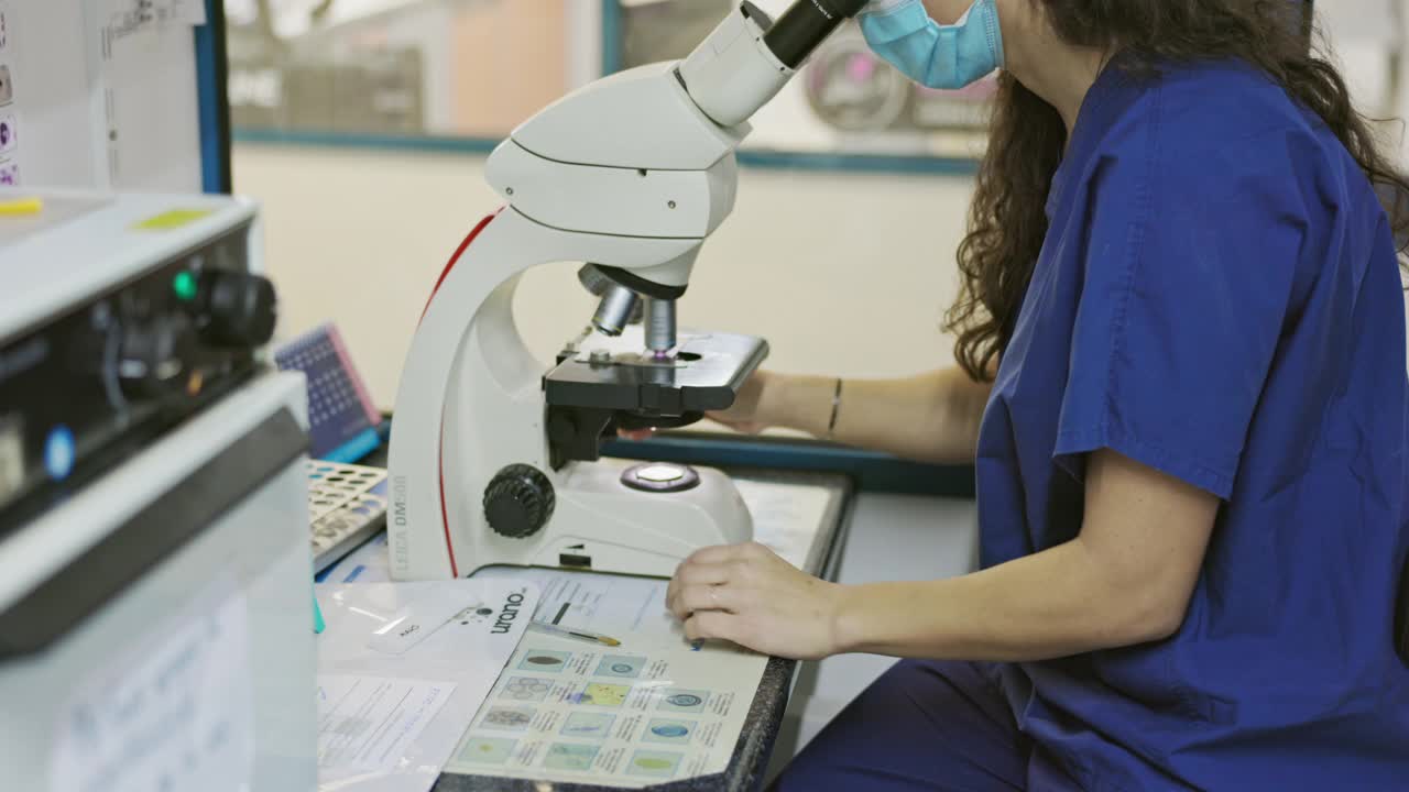 医学技术人员在动物医院使用显微镜视频素材