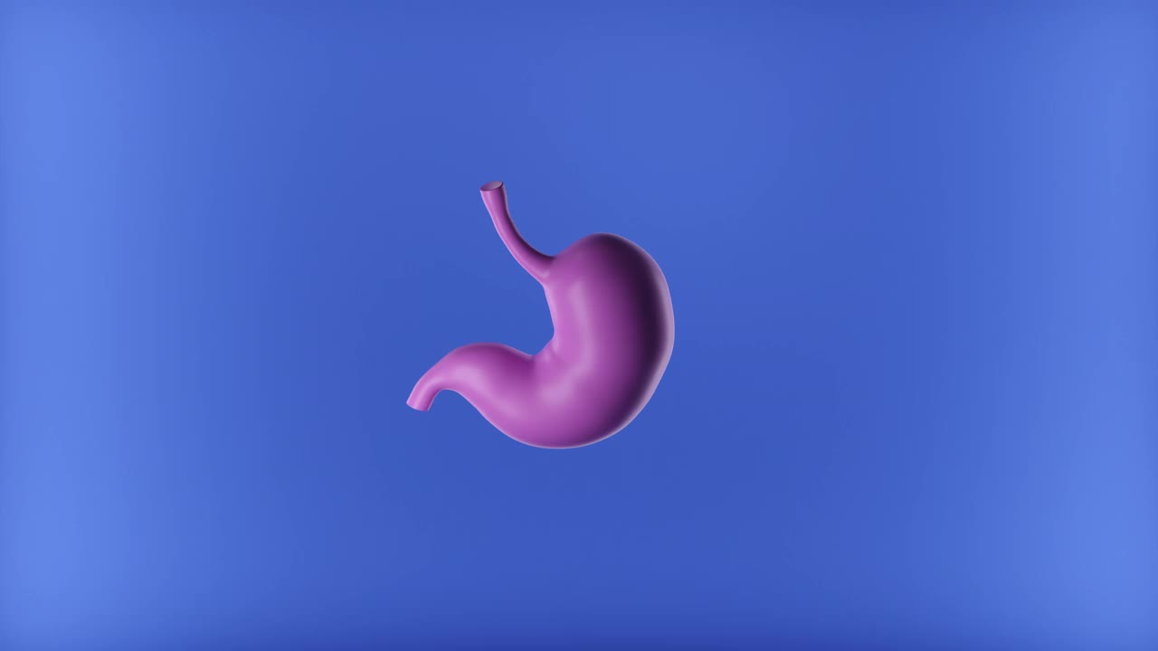 蓝色背景上的人的胃的动画3D插图。红色闪烁部位胃痛。视频下载