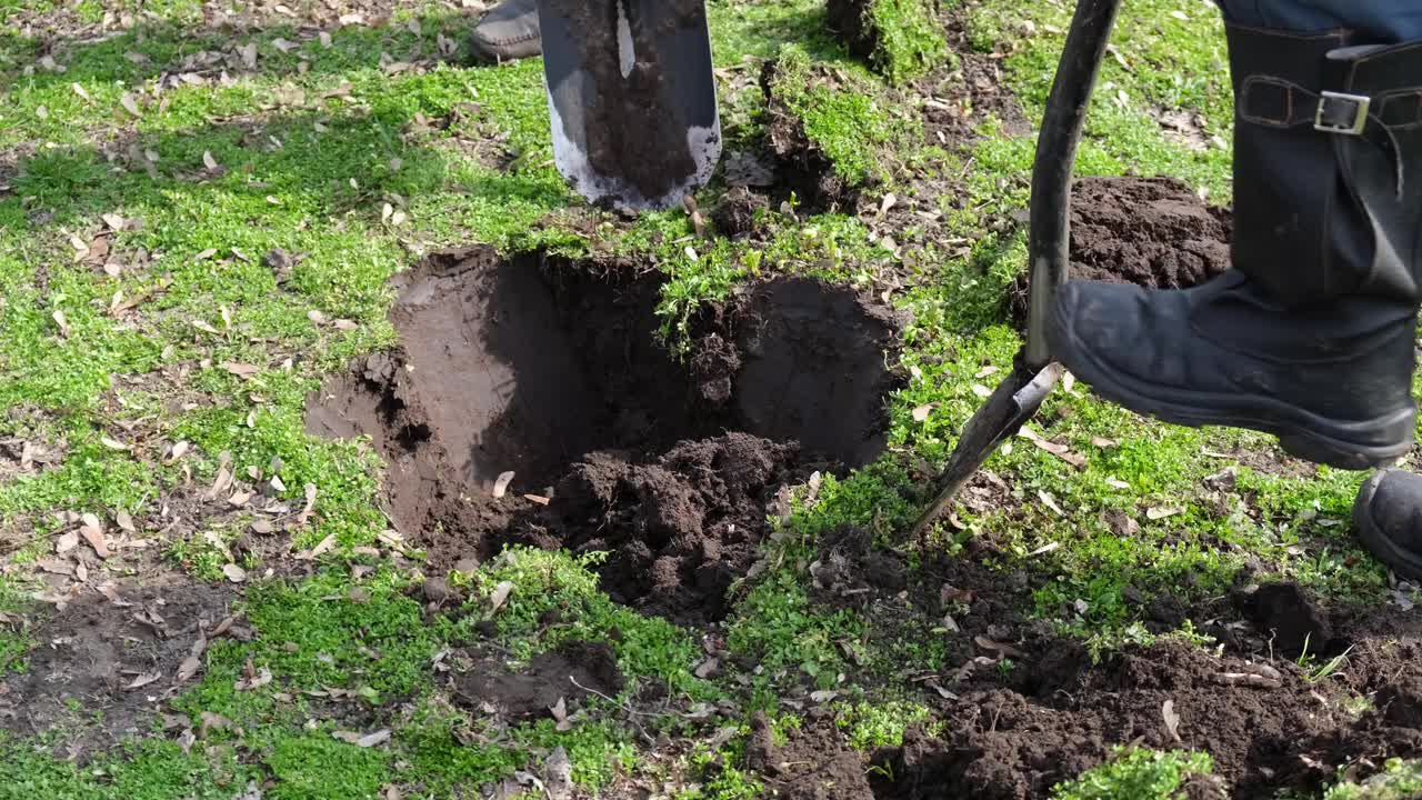 工人们用铁锹在地上挖洞。植树。生态修复。一把铲子正在地下挖。视频下载