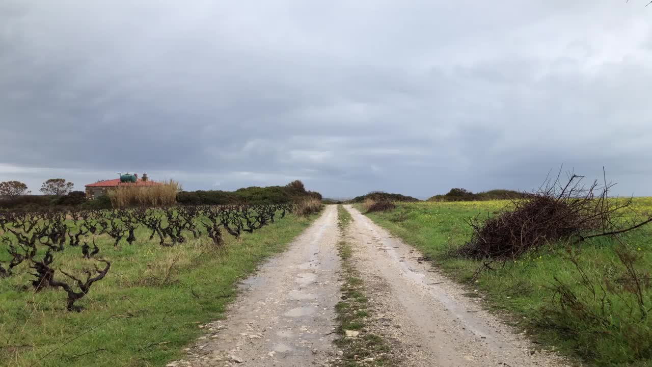 下雨的时候，走在乡间葡萄园的土路上。视频下载