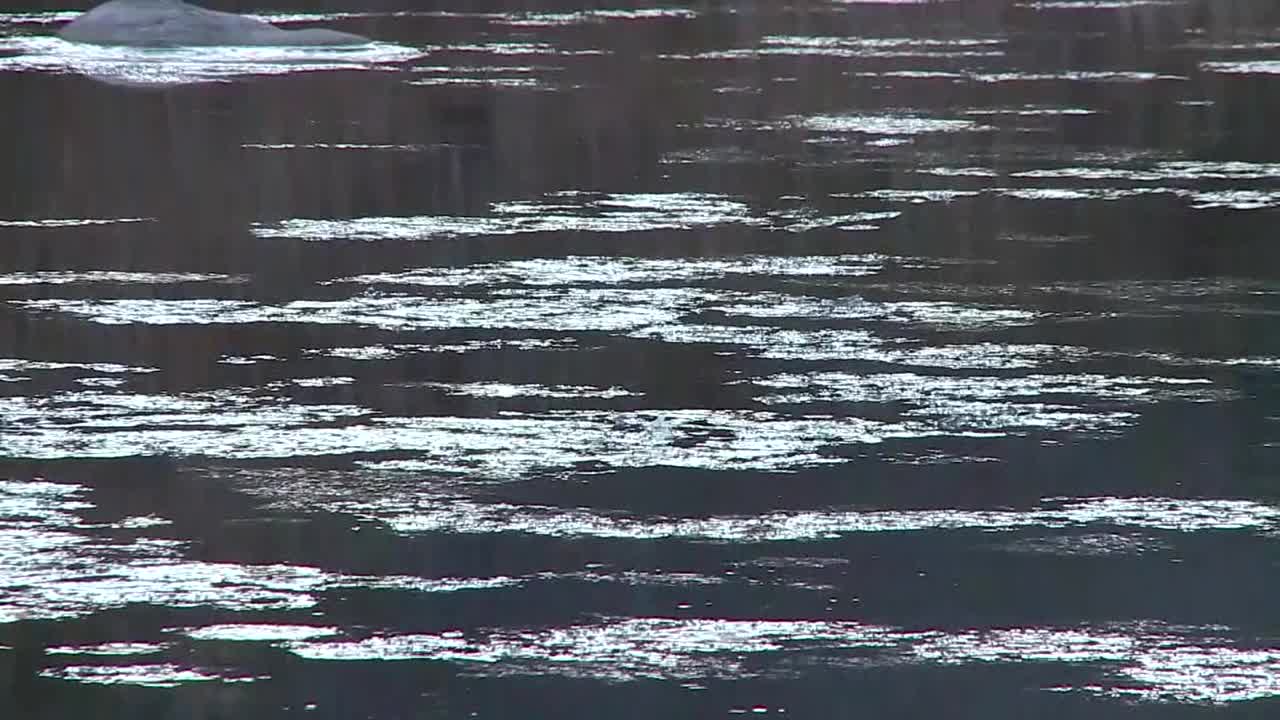 “志贺”，漂浮在久次河上的冰塞，茨城市，日本视频素材