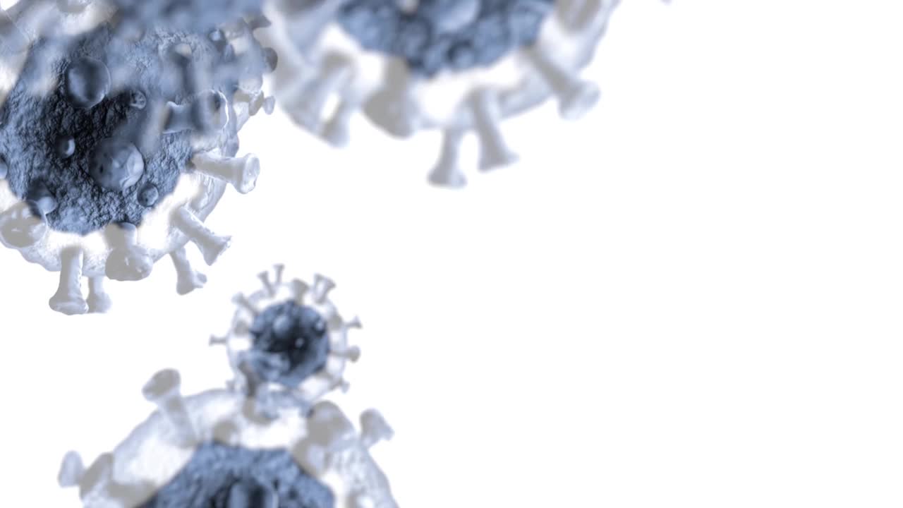 在白色背景上隔离的病毒-循环无缝动画视频下载