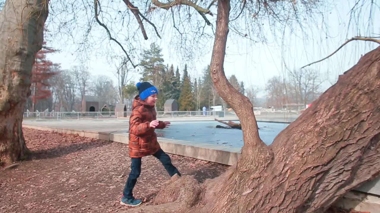 青少年在城市公园爬树，他们训练手的力量运动协调视频下载