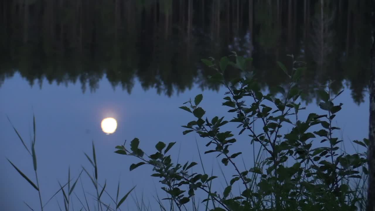 芬兰的荒野湖-月光下的夜晚感受视频下载