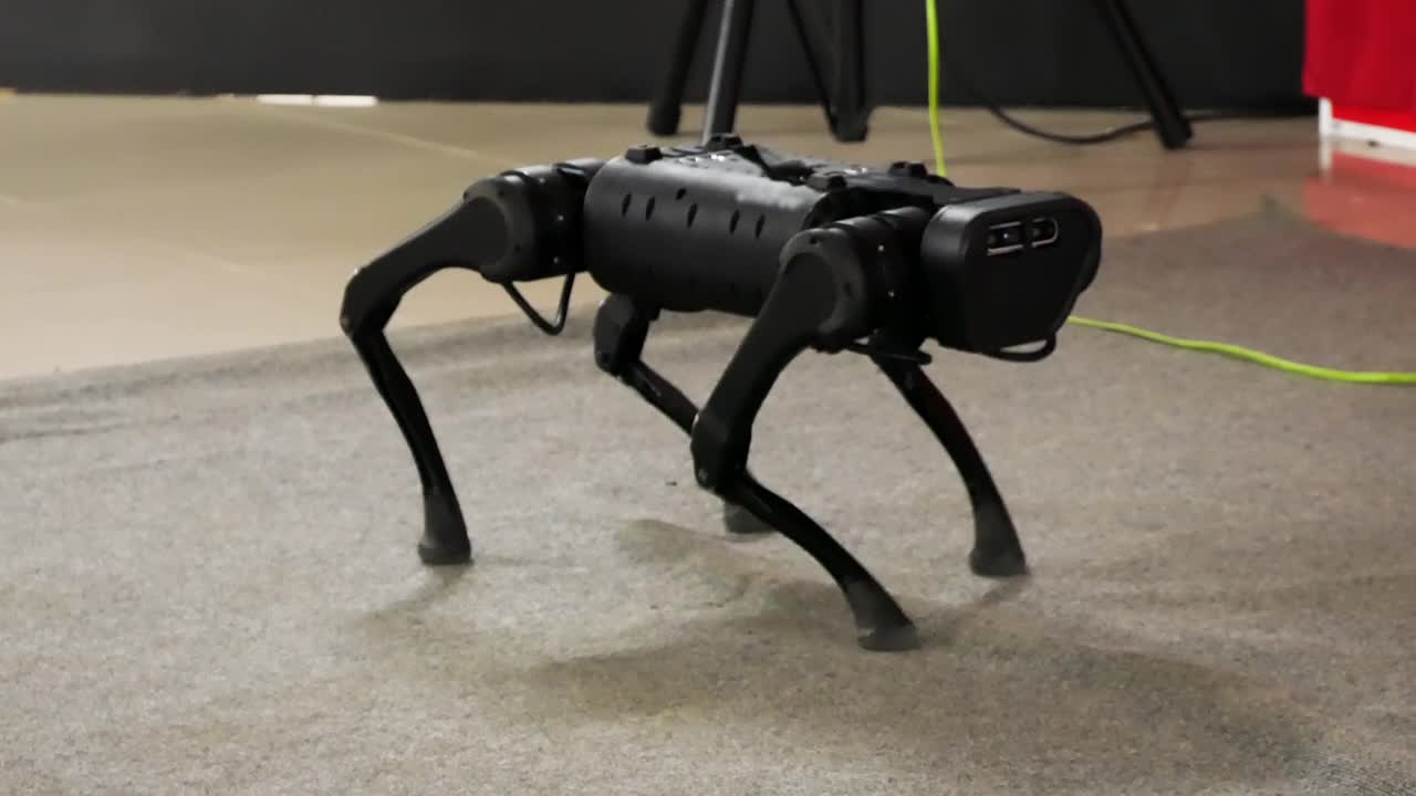 战斗机器狗展示了它的能力。新一代军事装备。导盲犬是专为视障人士设计的导盲犬。视频下载