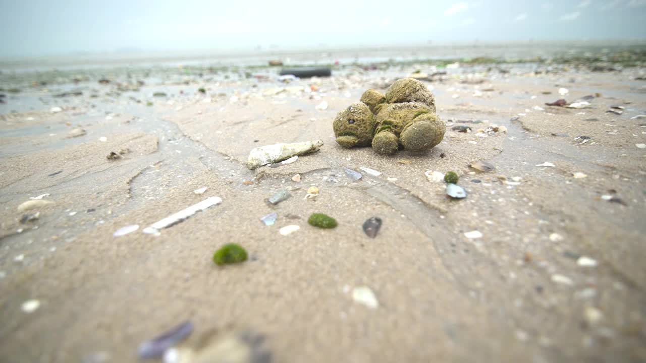 2021年海滩污染视频下载