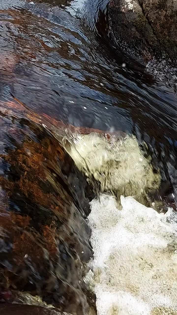 泉水在春天流入小溪视频素材