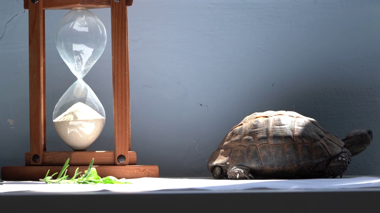 龟和沙漏的时间和速度概念4K视频视频下载