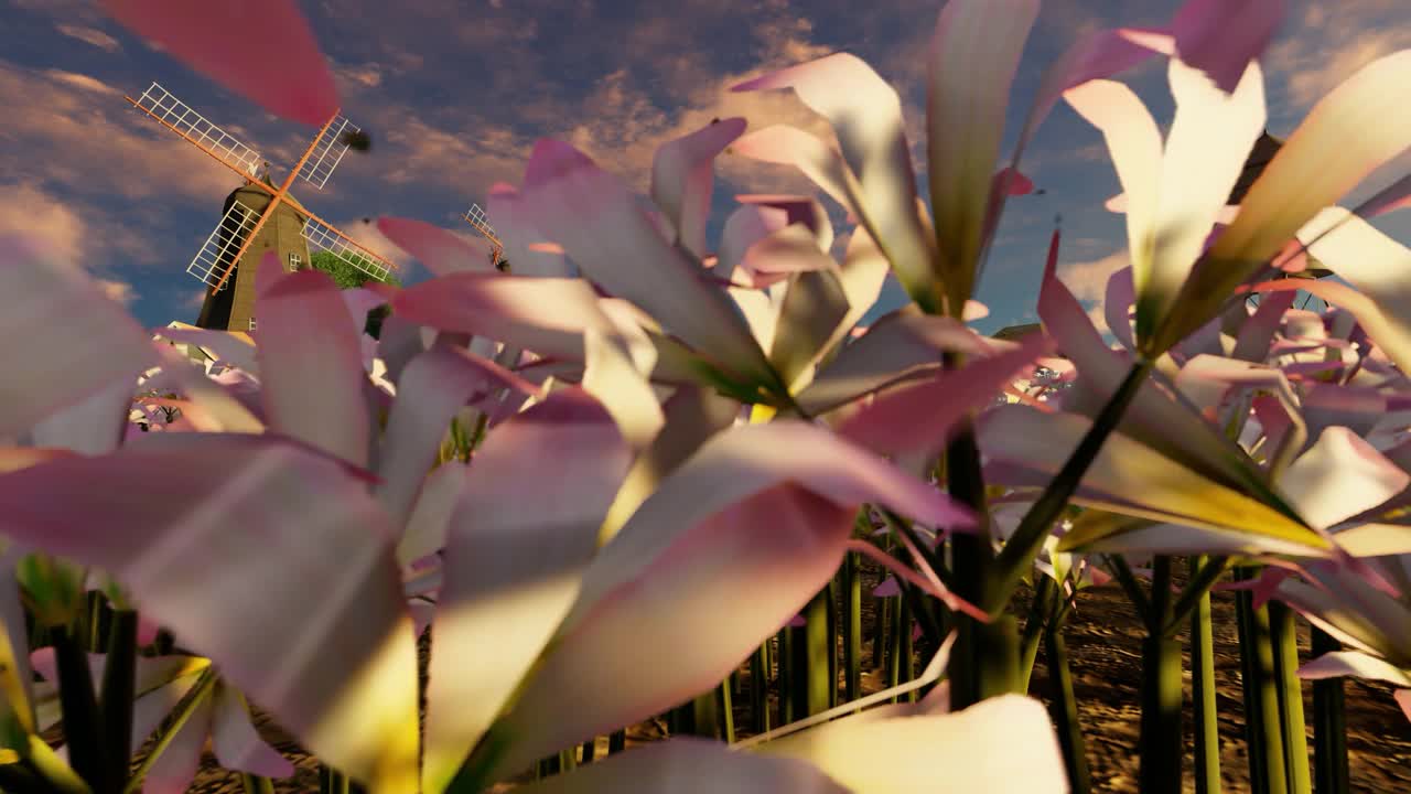 粉红色的百合花与风车和水盆的背景，3D视频下载
