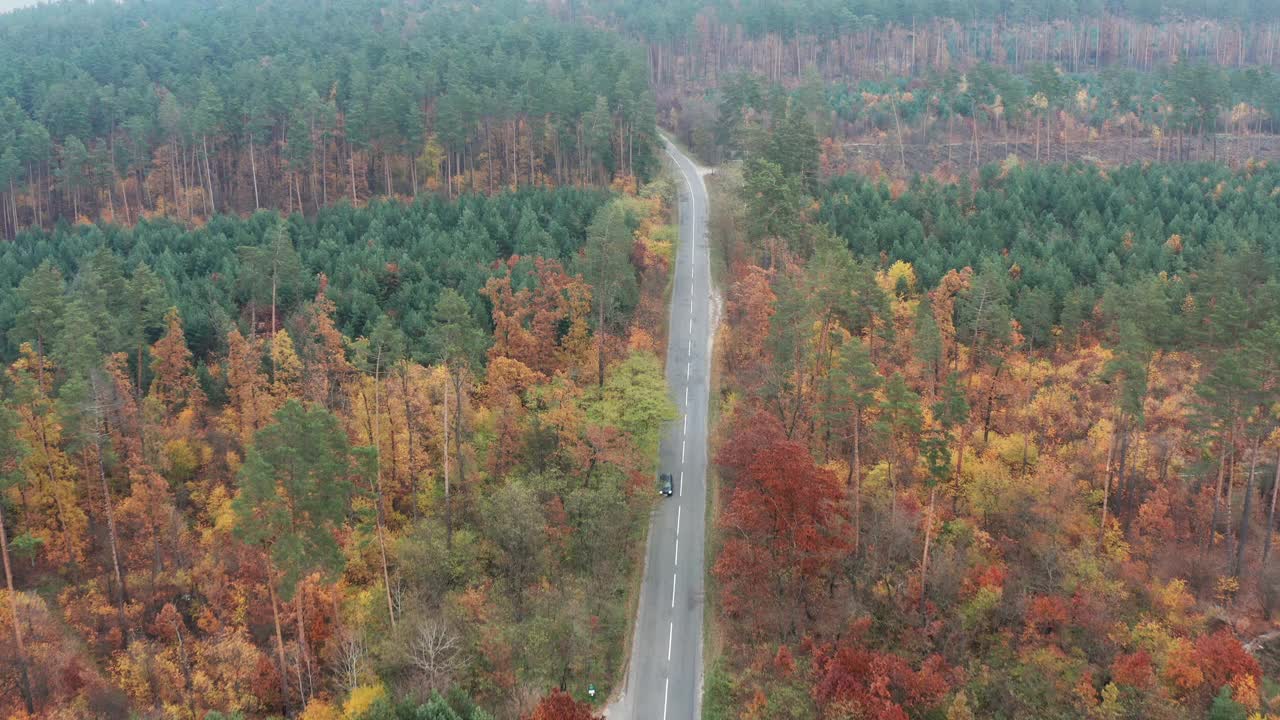 汽车在柏油路上行驶的鸟瞰图，沿着秋天的森林。视频下载