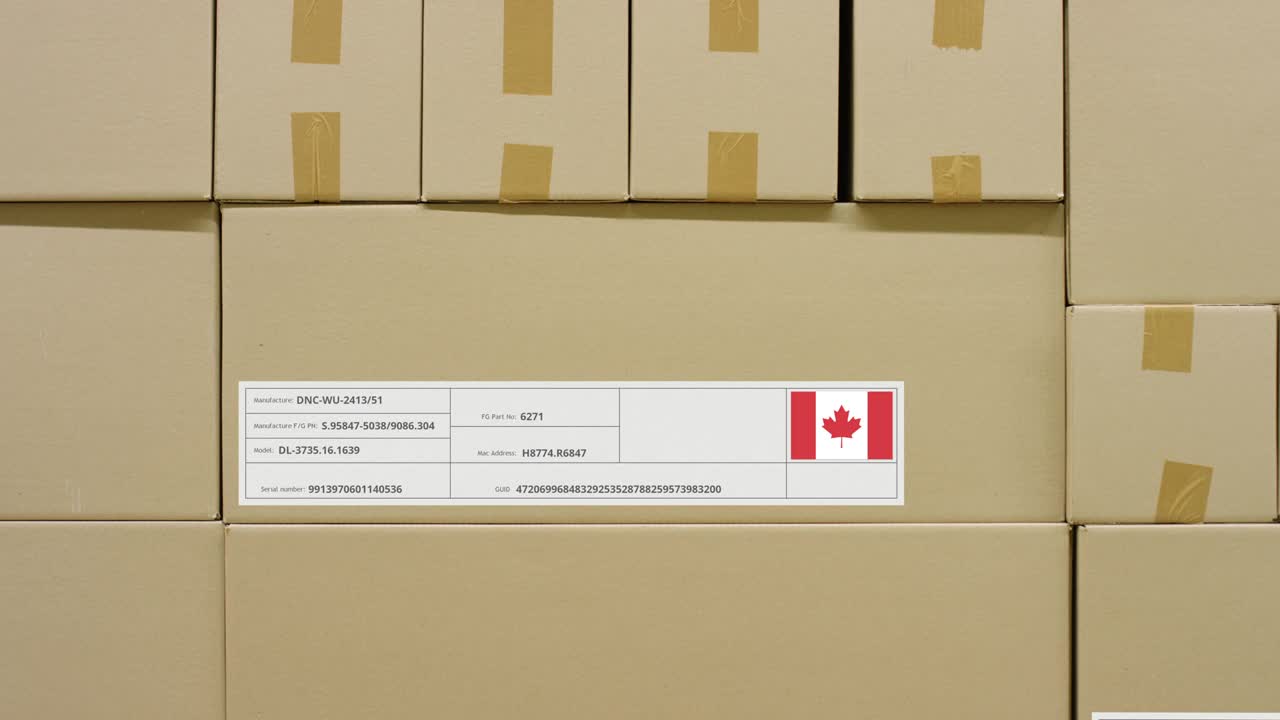 仓库里印有“加拿大制造”字样和旗帜贴纸的盒子视频下载