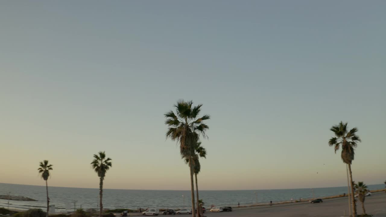 空中平移拍摄的棕榈树生长在停车场在日落期间，无人机飞越景观-特拉维夫，以色列视频素材