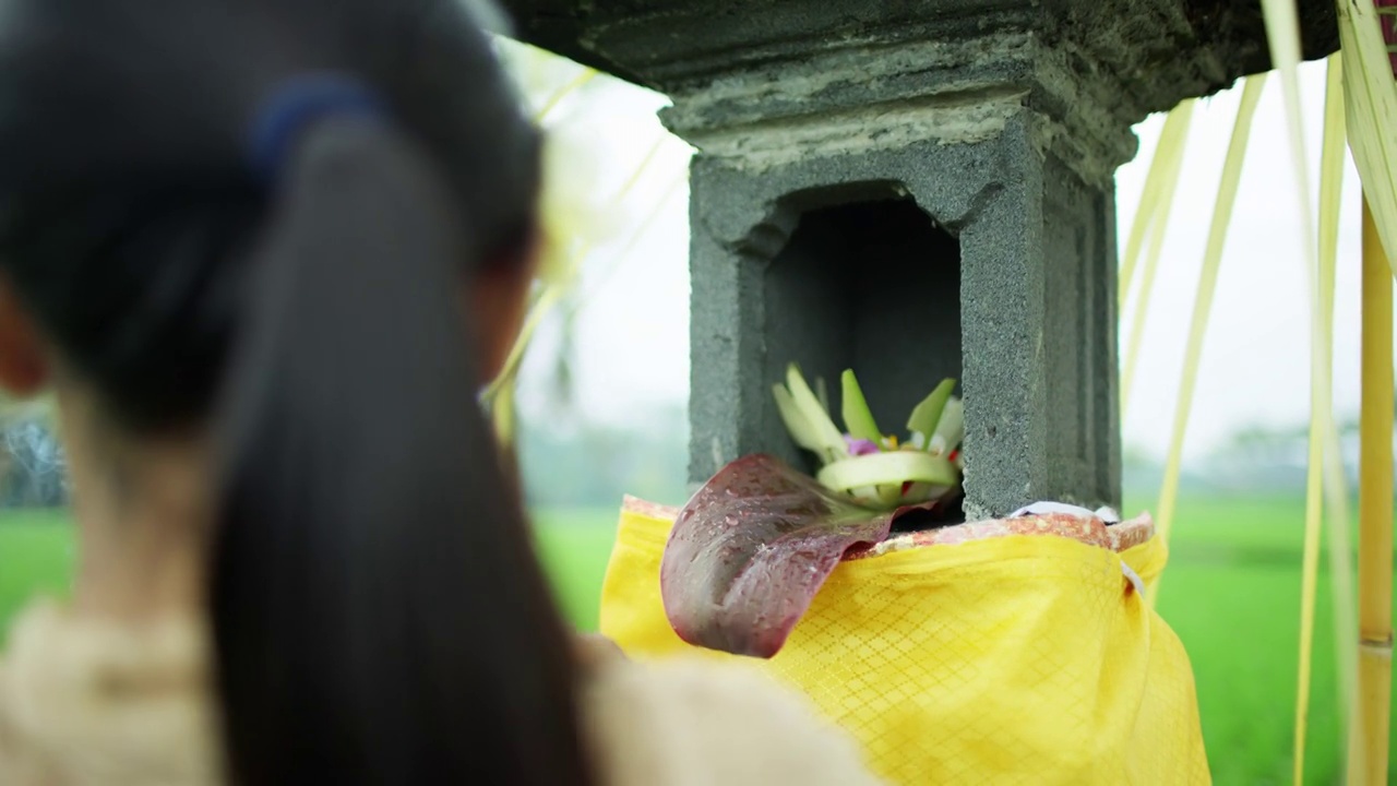 稻田庙里的妇女表演迦南纱丽视频下载