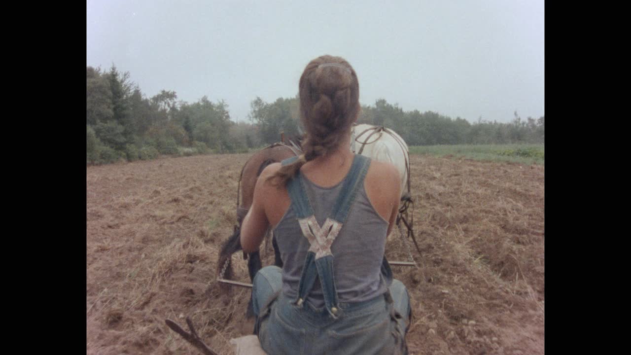 倾斜向下拍摄的妇女驾驶马拉耙在农业领域，缅因州，美国视频素材