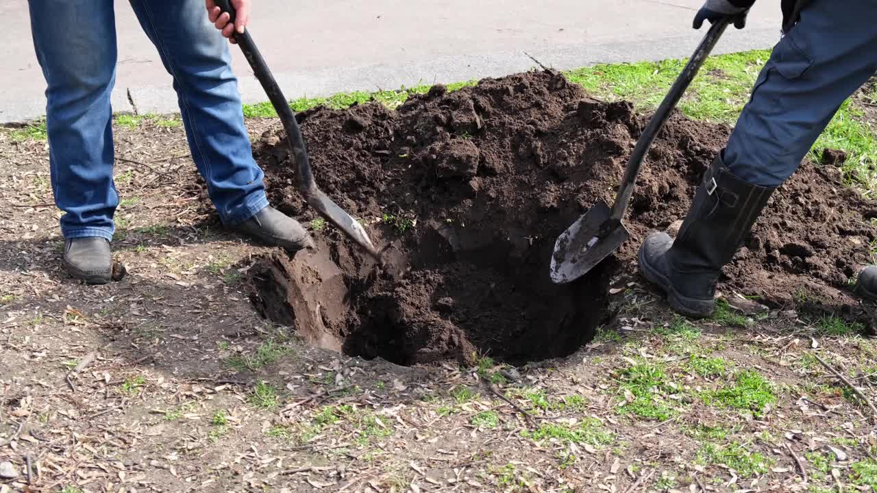 那个人用铲子在地上挖了个洞。植树。一把铲子正在地下挖。视频下载
