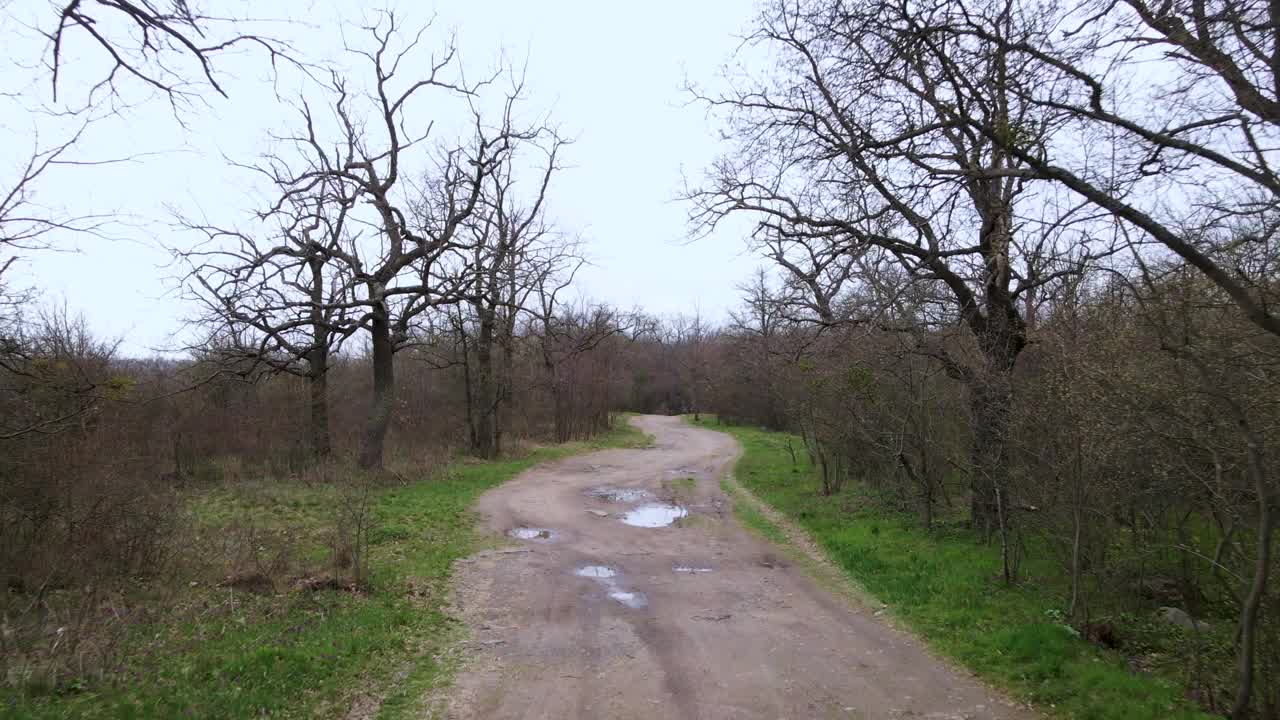 一条蜿蜒的被地面覆盖的道路蜿蜒穿过森林边缘一片杂草丛生的空地。在乡间的灌木丛中穿行。春天是田园风光的季节。视频下载