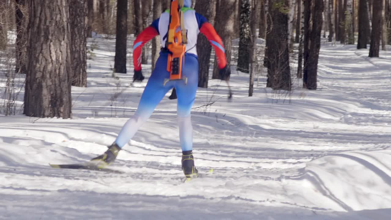 滑雪两项运动员用滑雪杆和步枪穿过森林视频下载