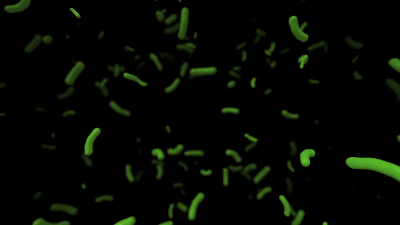 细菌细胞动画4k循环视频下载