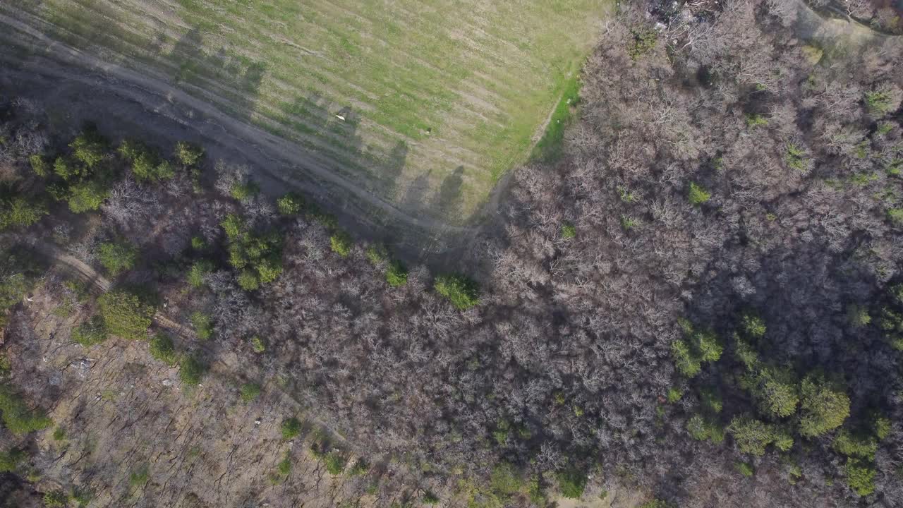 森林重建后的一个长期的火灾顶视图。资料片。一些树变绿了，附近有麦田。湖在山麓，碧水。视频下载