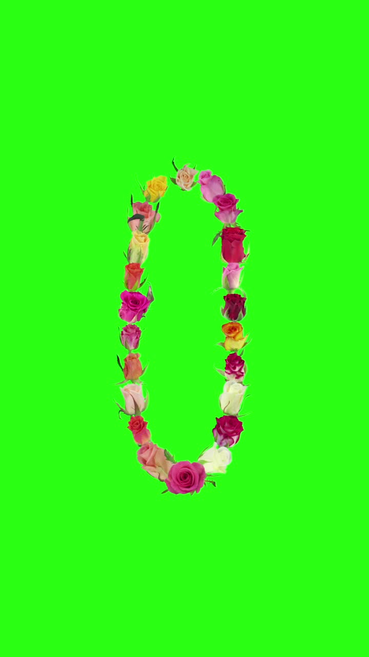 开放的彩虹玫瑰数字0的形状，垂直组成视频下载