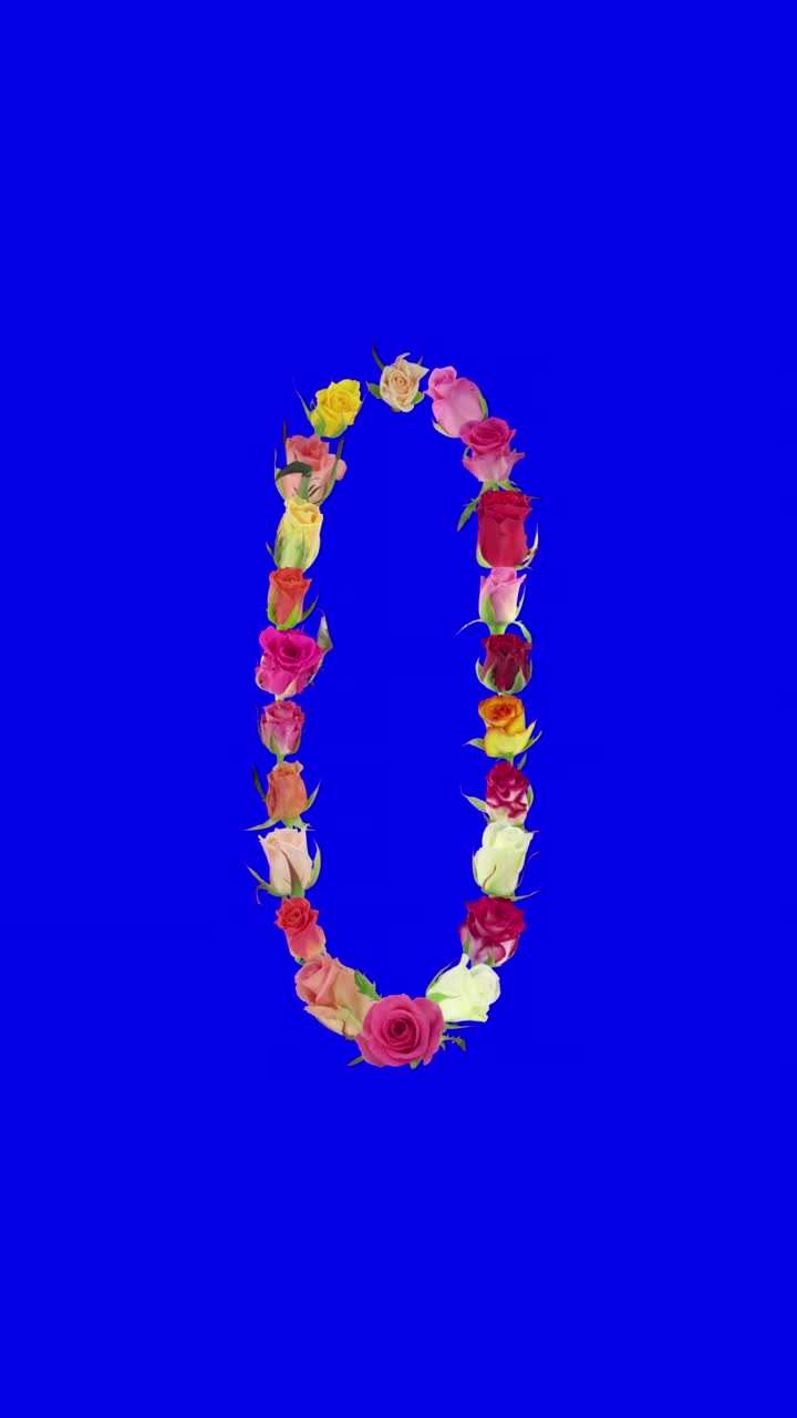 开放的彩虹玫瑰数字0的形状，垂直组成视频下载