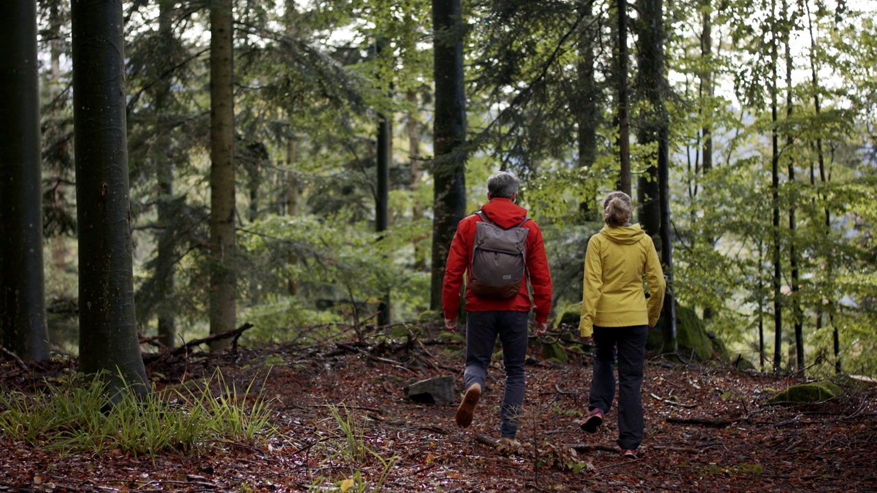 两个人在一个雨天在树林里徒步旅行视频下载