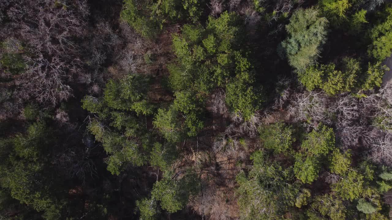 俯瞰春天的森林和山上美丽的蓝色小湖。资料片。无人机飞越山林，美景尽收眼底。克里米亚半岛美。视频下载