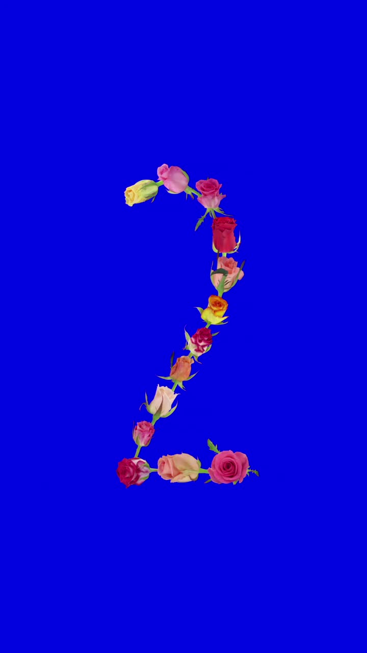 张开的彩虹玫瑰2号形状，垂直构图视频下载