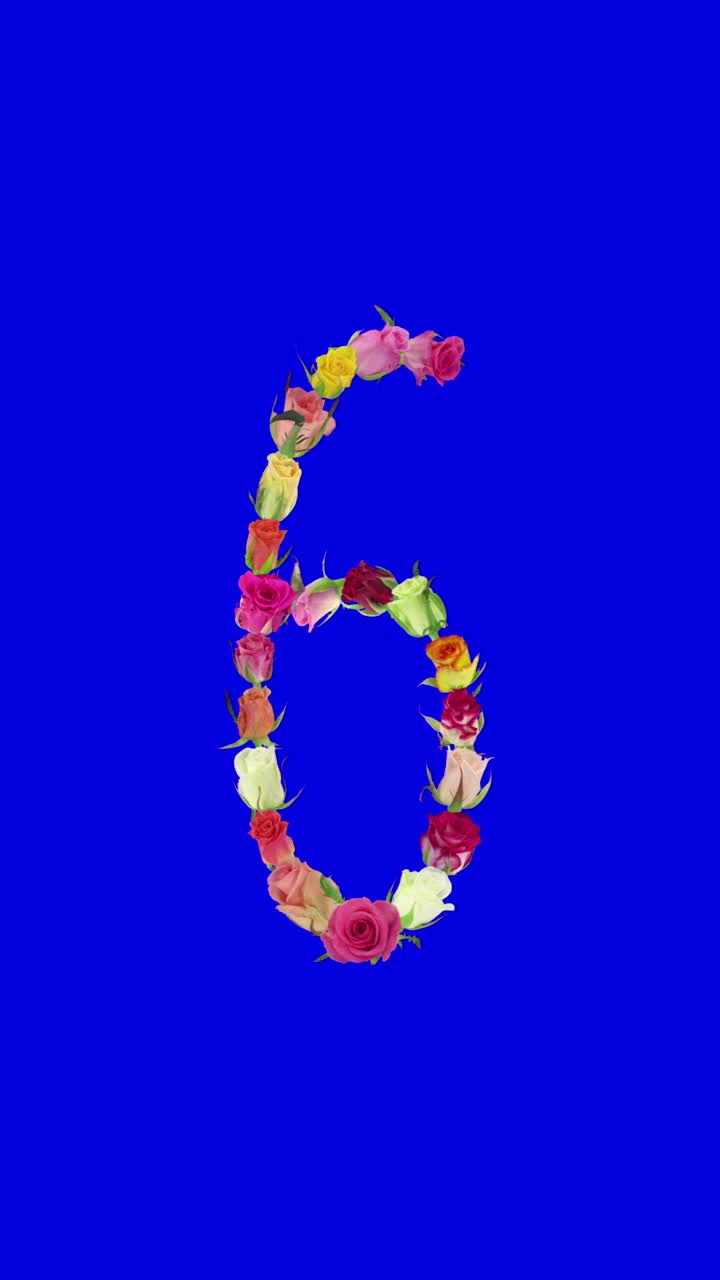 张开的彩虹玫瑰6号形状，垂直构图视频下载