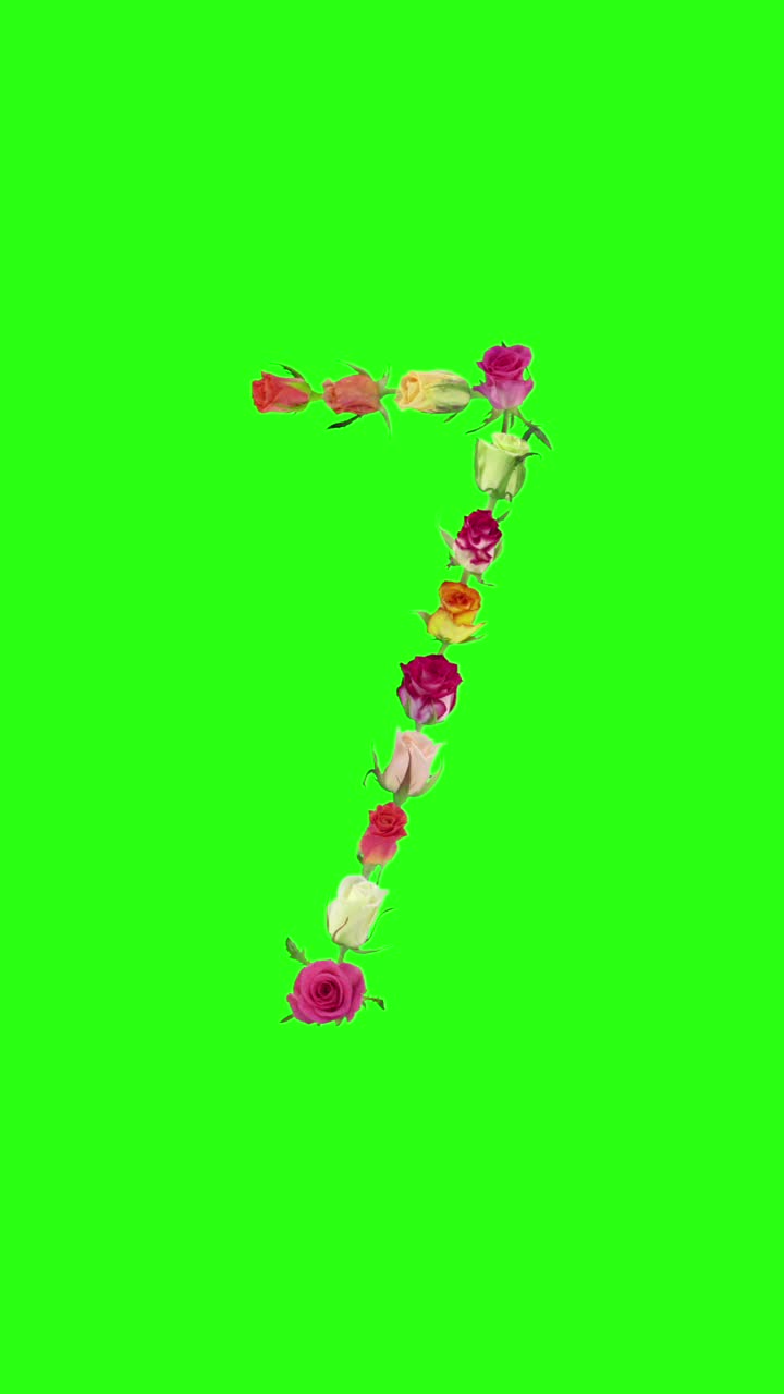 张开的彩虹玫瑰7号形状，垂直构图视频下载