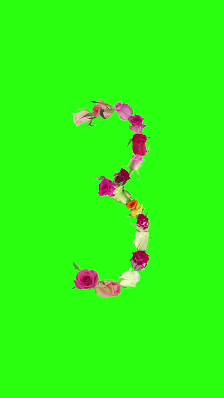 张开的彩虹玫瑰3号形状，垂直构图视频下载